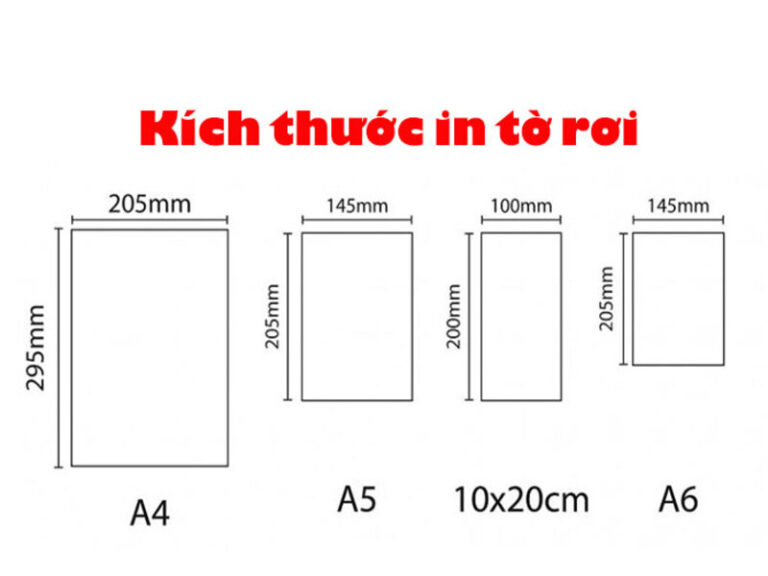 kich thuoc cua mot to roi.1 1