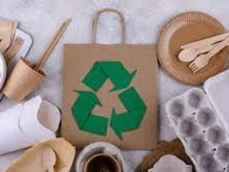 Tầm quan trọng của bao bì xanh trên thị trường hiện nay