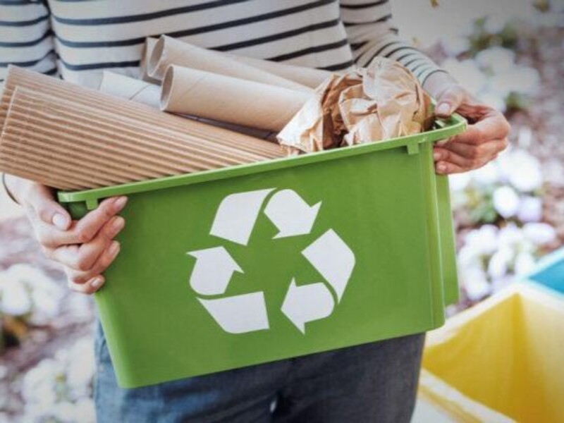 Xu hướng sử dụng bao bì giấy của người tiêu dùng