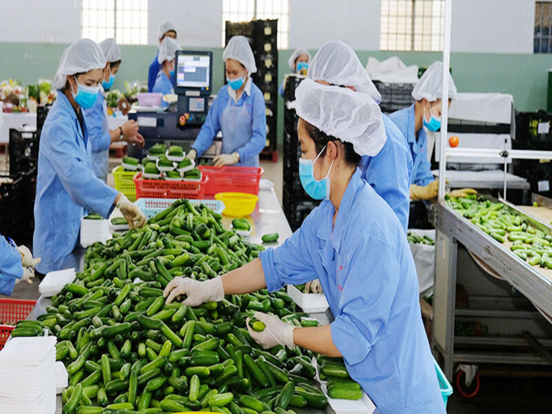 05 bước bảo quản nông sản xuất khẩu khi đi xa