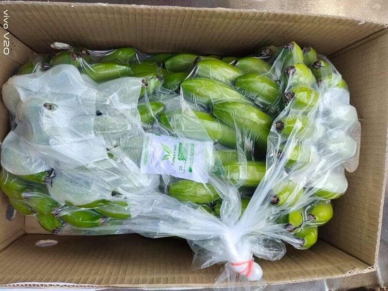 Lưu ý khi bảo quản nông sản xuất khẩu